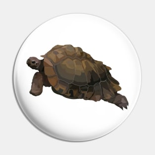 Tortoise Pin