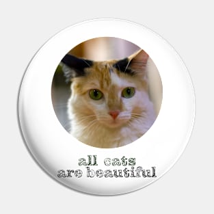 all cats are beautiful Pin