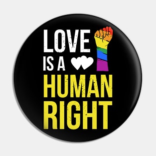 Love is a Human Right Pin