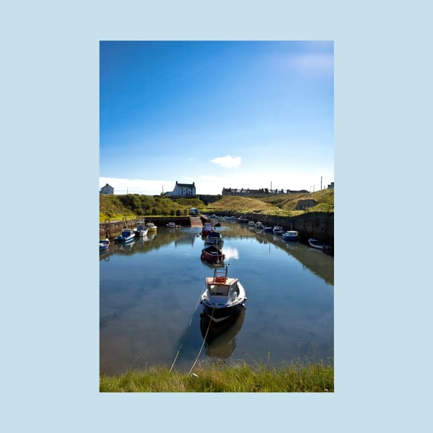 Seaton Sluice Summer Sunshine (2) by Violaman