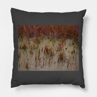 Rainbow cane 4 Pillow