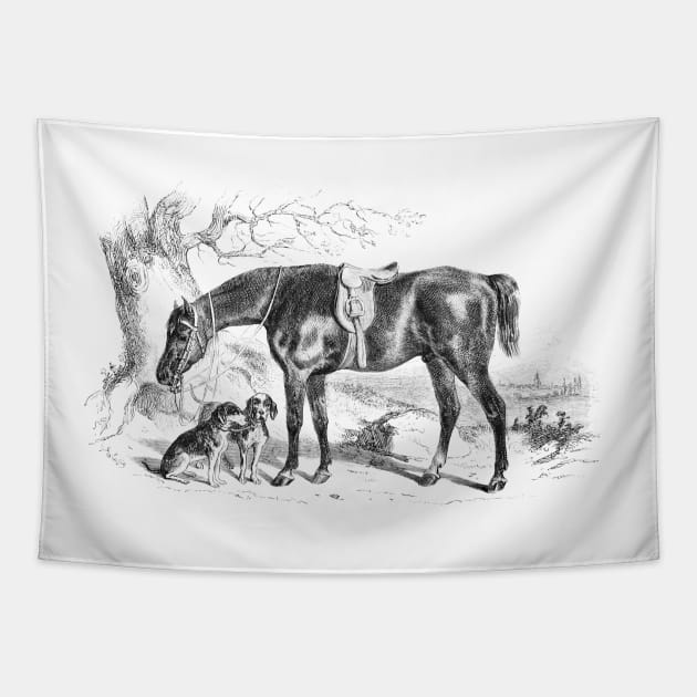 Horse & Hounds Black and White Illustration Tapestry by Biophilia