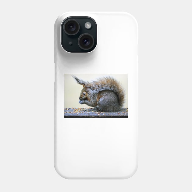 Squirrel's hat... Phone Case by LaurieMinor