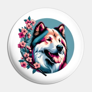 Karelian Bear Dog Delights in Spring Cherry Blossoms Pin