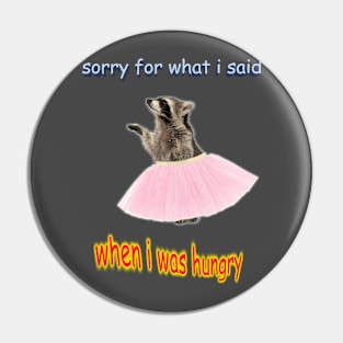 Sorry for What I Said Pin