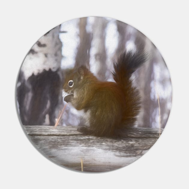 Squirrel on the fence illustration Pin by CanadianWild418