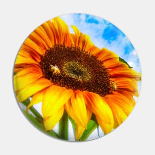 Summer Sunflower Blue Sky Bees Pin