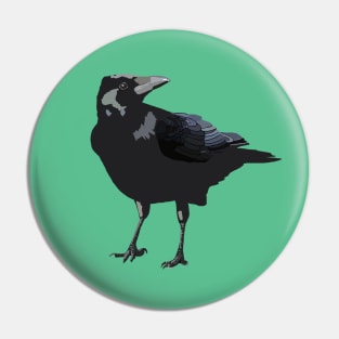 Raven Pin