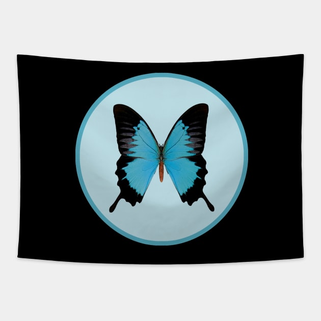 Royal Peacock Butterfly Tapestry by Design_Windmill