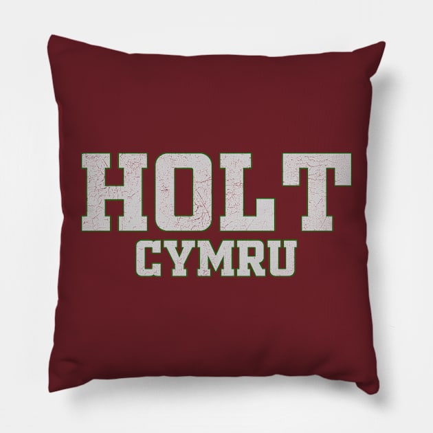 Holt Wales / Cymru Pillow by RAADesigns