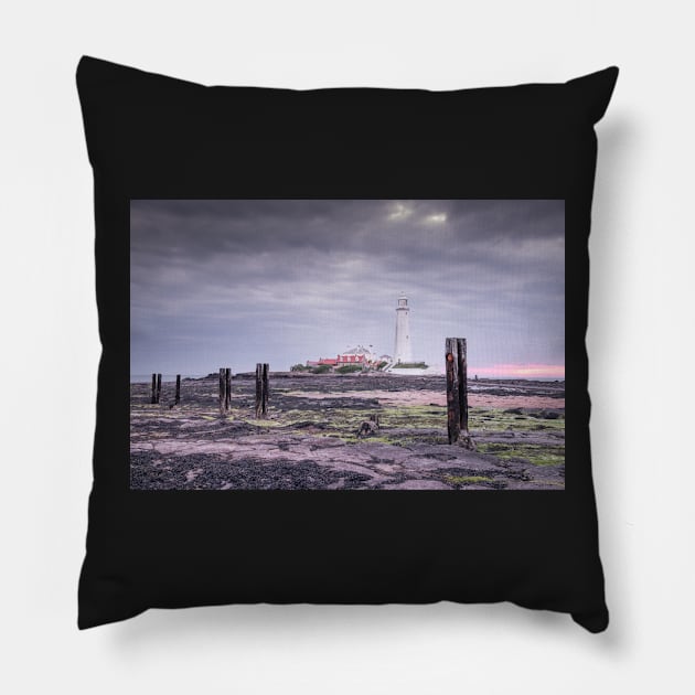 Nine Wooden Posts Pillow by jldunbar