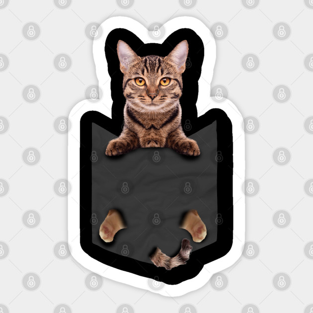 Brown Cat Sits in Pocket | Cute Cat lover - Cat Lover Gifts - Sticker