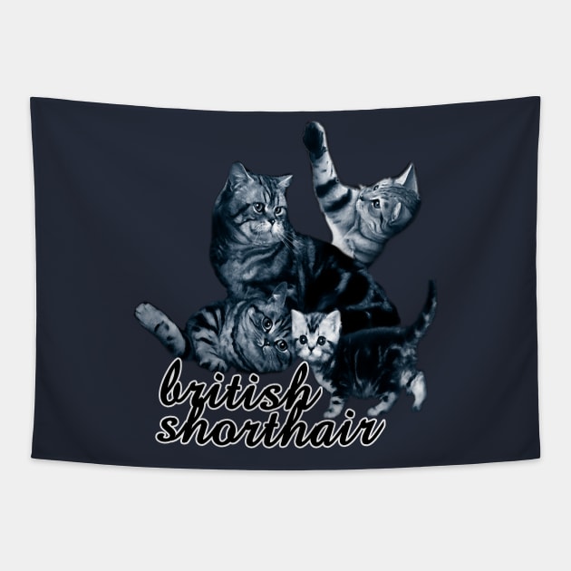 british shorthair Tapestry by eRDe