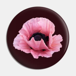 Delicate Pink Poppy Pin