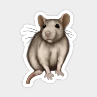 Cute Rat Drawing Magnet