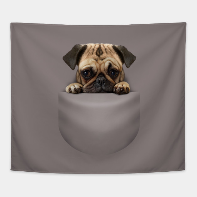 dog pocket dog