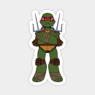 2012 Raph Magnet