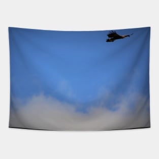 Golden Eagle Soaring the Cloudy sky Tapestry
