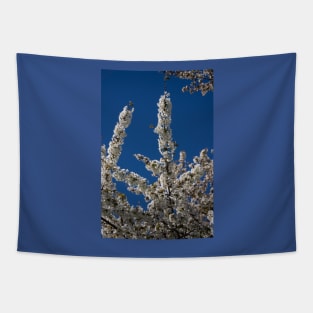 White blossom. Tapestry