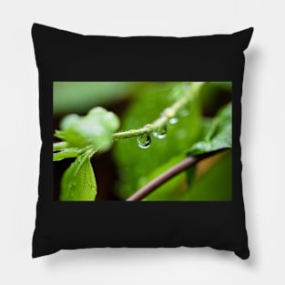 Shiny dew drop with image of a leaf Pillow