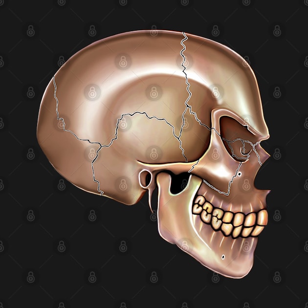 Brown Angry Skull Side View by Costa Clinic