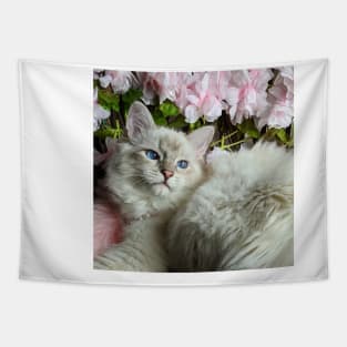 Saoirse ragdoll Tapestry