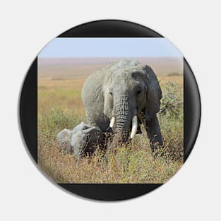 Elephants, Serengeti, Tanzania Pin