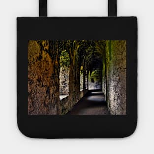 Scalloway Castle, Shetland Islands - 1 Tote