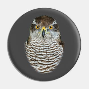 Goshawk Pin