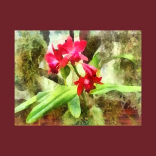 Maroon Cattleya Orchids T-Shirt