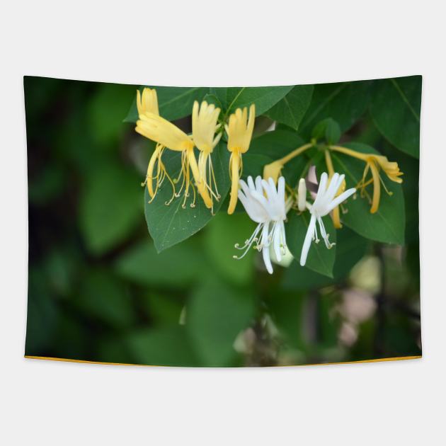 Honeysuckle Tapestry by Drgnfly4free