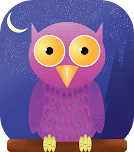 Cute Owl Nighttime T-Shirt Magnet