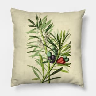 Penstemon Cordifolius With Details Pillow