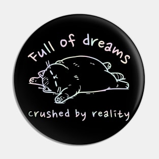 Full of dreams crushed by reality Funny design Pin