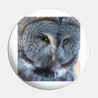 Great Gray Owl Pin