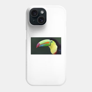 Keel-billed Toucan - Costa Rica Phone Case