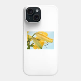 Lilium  &#39;Yellow Bruse&#39;  Asiatic Lily  Flower buds Phone Case