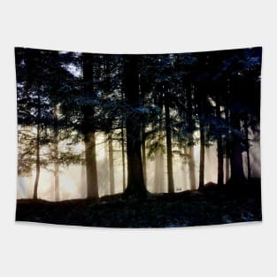 Sun rays tree trunks / Swiss Artwork Photography Tapestry