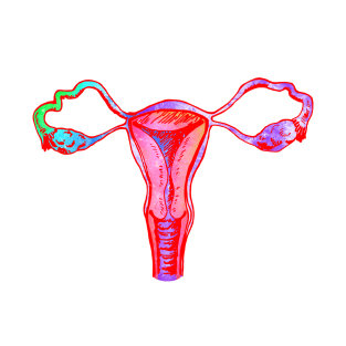 Uterus T-Shirt