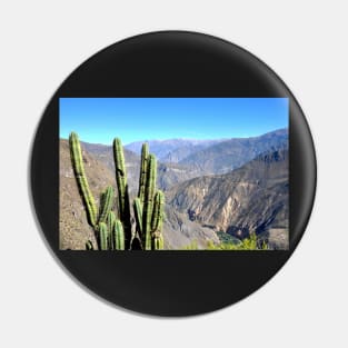Pérou - Arequipa - Canyon de Colca Pin