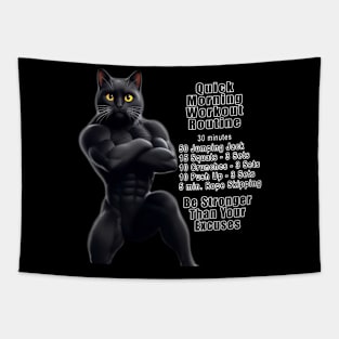 Cat Fitness Routine Plan Tapestry