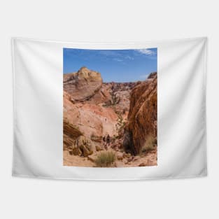 White Domes Trail Tapestry