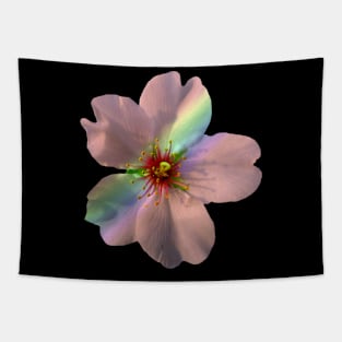 coral flower, pastel, nature, bloom, rainbow Tapestry