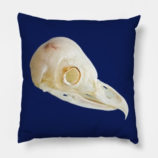 Side view of a Barn Owl skull Pillow