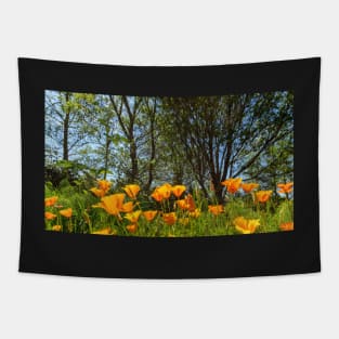 California Poppies Tapestry