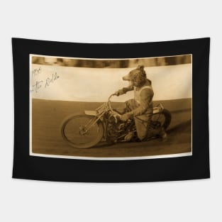 Pilot Bear antique Tapestry