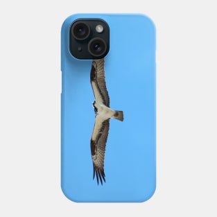 An Osprey Hovering In The Air With Its Wings Spread Apart Phone Case