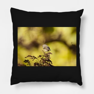 Kinglet Pillow