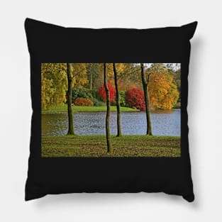 Autumn Splendour Pillow