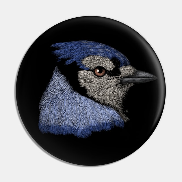 Blue Jay Pin by Walking in Nature